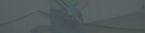 bg3